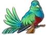 parrot symbol
