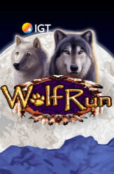 free Wolf Run casino game demo