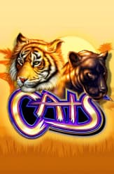 cats slot machine